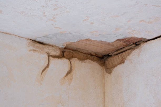 Best Water damage restoration cost  in Soperton, GA