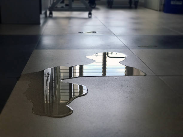 Best Water damage restoration near me  in Soperton, GA