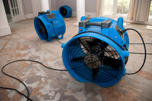 Best Water damage contractors near me  in Soperton, GA