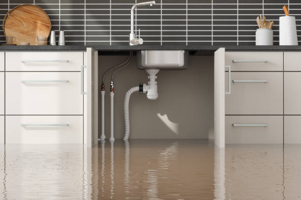 Best Flood restoration services  in Soperton, GA