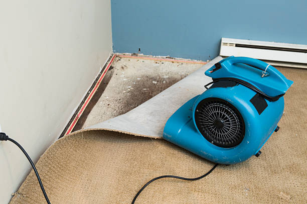 Best Emergency water damage restoration  in Soperton, GA